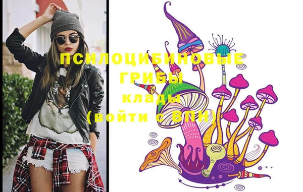 стафф Горняк