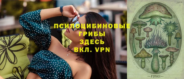 стафф Горняк