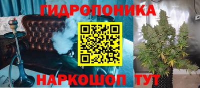 МДПВ Дубна