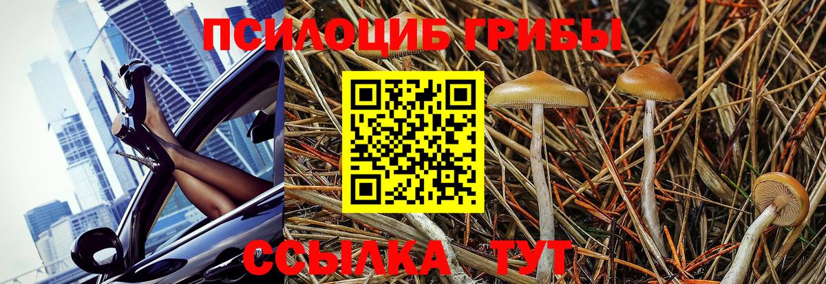 Галлюциногенные грибы Psilocybe  Вход с VPN  Москва 